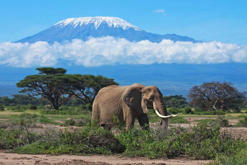 Tanzania Tours Itinerary 7 Days Kilimanjaro Moshi Arusha